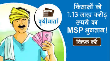 किसानों को 1.13 लाख करोड़ रुपये का MSP भुगतान!
