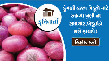 ડુંગળી કરતા ખેડૂતો માટે આવ્યા ખુશી ના સમાચાર, ખેડૂતોને થશે ફાયદો !