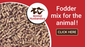 Fodder mix for the animal!