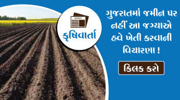 ગુજરાતમાં જમીન પર નહીં આ જગ્યાએ હવે ખેતી કરવાની વિચારણા !