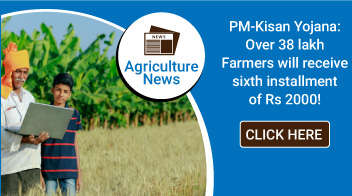 English: PM-Kisan Yojana: Over 38 lakh Farmers will receive sixth installment of Rs 2000!
