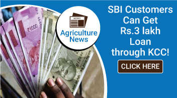 SBI Customers Can Get Rs. 3 lakh Loan through KCC! 💸
