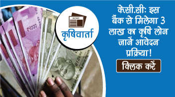 के.सी.सी: इस बैंक से मिलेगा 3 लाख का कृषि लोन जानें आवेदन प्रक्रिया!