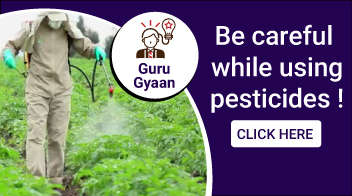 Be careful while using pesticides !
