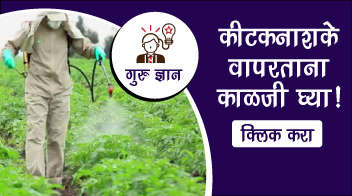 कीटकनाशके वापरताना काळजी घ्या!
