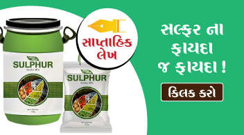  સલ્ફર ના ફાયદા જ ફાયદા !