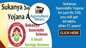 Sukanya Samriddhi Yojana: Open an account on your daughter's name for just Rs 250, will get 64 lakhs after 21 years!
 

