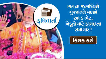 PM ના જન્મદિવસે ગુજરાતને મળશે આ 5 ભેટ, ખેડૂતો માટે ફાયદાના સમાચાર !