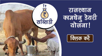 राजस्थान कामधेनु डेयरी योजना!