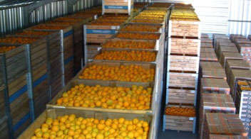 पैक हाउस खोलने पर 70-90 प्रतिशत सब्सिडी