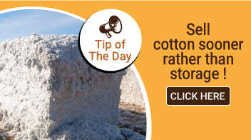 Sell cotton sooner rather than storage: