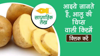 आइये जानते हैं, आलू की चिप्स वाली किस्में!