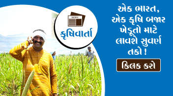 એક ભારત, એક કૃષિ બજાર ખેડૂતો માટે લાવશે સુવર્ણ તકો !