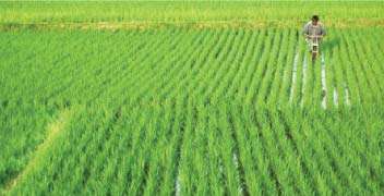Management of crop rotation