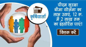 पीएम सुरक्षा बीमा योजना का लाभ उठाएं, 12 रु. में 2 लाख तक का इंश्योरेंस पाएं!