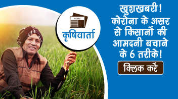 खुशखबरी! कोरोना के असर से किसानों की आमदनी बचाने के 6 तरीके!