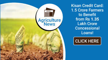 Kisan Credit Card: 1.5 Crore Farmers to Benefit from Rs 1.35 Lakh Crore Concessional Loans!

