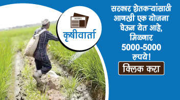 सरकार शेतकर्‍यांसाठी आणखी एक योजना घेऊन येत आहे, मिळणार ५००० - ५००० रुपये!
