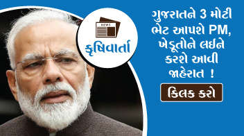 ગુજરાતને 3 મોટી ભેટ આપશે PM, ખેડૂતોને લઈને કરશે આવી જાહેરાત !
