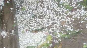 बारिश व ओलावृष्टि से हुए फसल नुकसान पर मिल रही है 13,500 की सब्सिडी