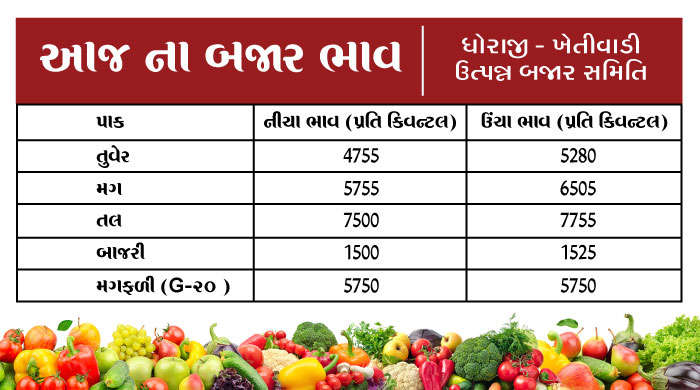 જાણો, આજ ના બજાર ભાવ !