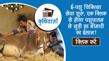 ई-पशु चिकित्सा सेवा’ शुरु, एक क्लिक से होगा पशुपालन से जुड़ी हर बीमारी का ईलाज!