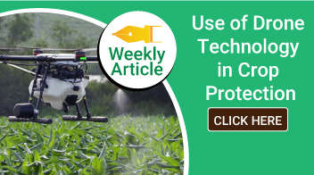 Use of Drone Technology in Cropસંરક્ષણ 