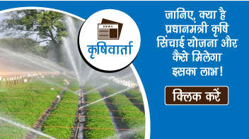 जानिए, क्या है प्रधानमंत्री कृषि सिंचाई योजना और कैसे मिलेगा इसका लाभ!