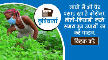 गांवों में भी पैर पसार रहा है कोरोना, खेती-किसानी करते समय इन उपायों का करें पालन!