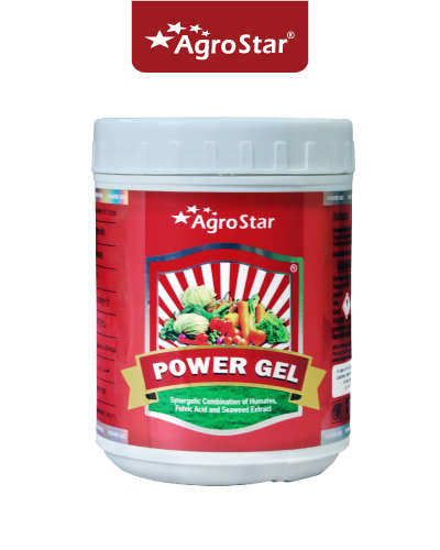 Power Gel (Organic Plant Nutrient) 500 g