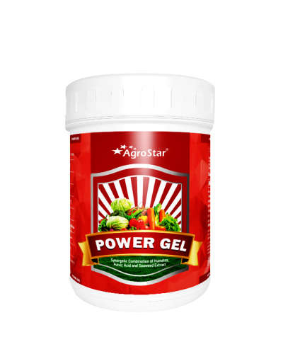 Power Gel (Organic Plant Nutrient) 500 g