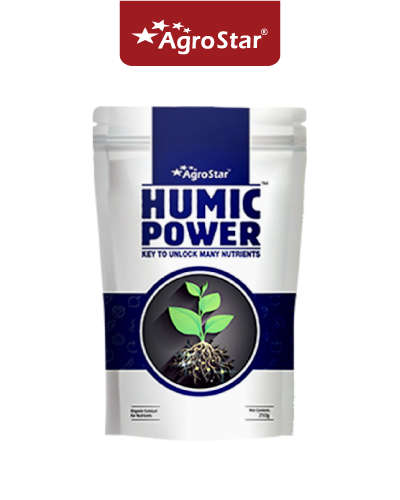 Humic Power (Humic & Fulvic Acid 50% min.) 250 g