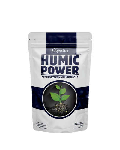 Humic Power (Humic & Fulvic Acid 50% min.) 250 g