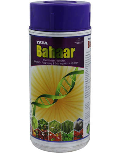 MH TATA Bahaar - 500 ml