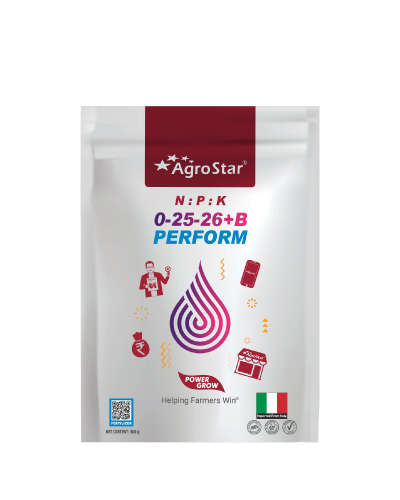 NPK 0-25-26+B PERFORM 300 g