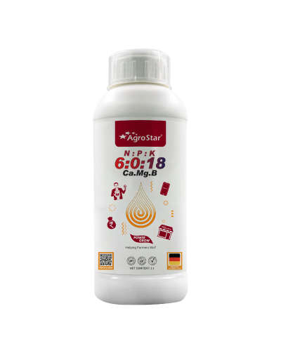NPK 6:0:18+Ca+Mg+B 1litre