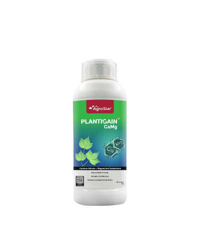 Plantigain CaMg (Calcium Nitrate Fortified with Mg)  1 litre  