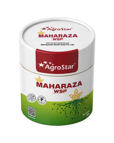 Maharaza WSP 100 g