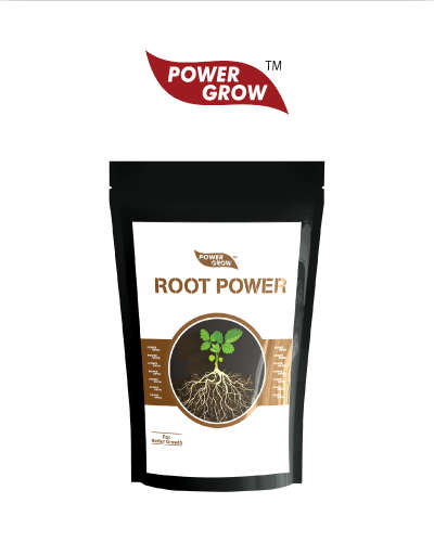 Root Power (Humic Acid 50% min.) 200 g