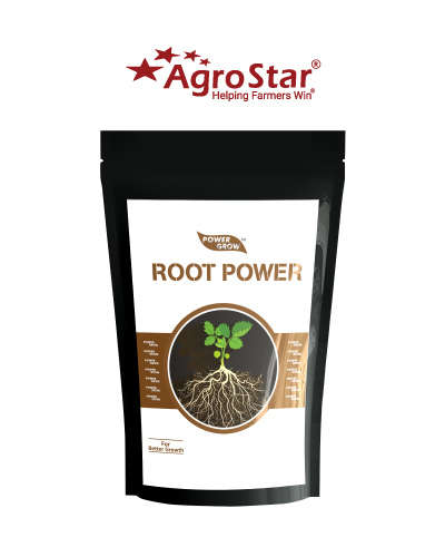 Root Power (Humic Acid 50% min.) 200 g
