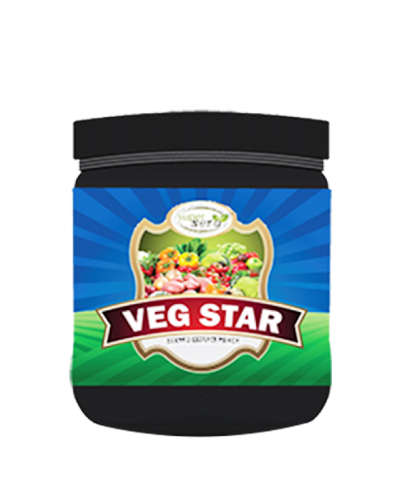 Veg Star (Biostimulant) 500 g