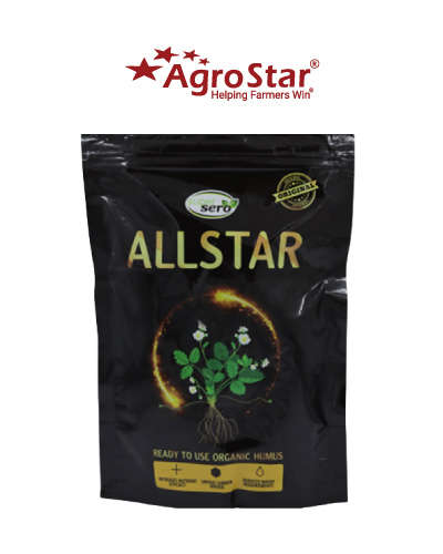 AllStar 250 gm
