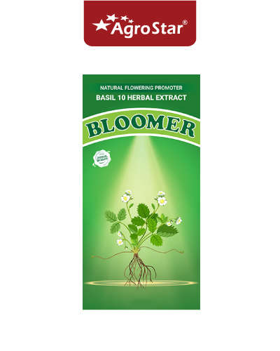 Bloomer 50ml