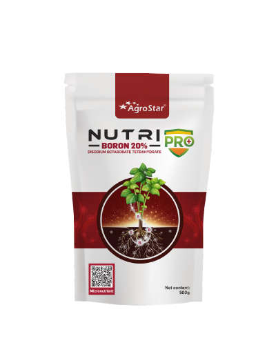 NutriPro (Di-sodium Octaborate Tetrahydrate -Boron 20%) 500 g