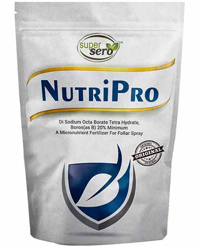 NutriPro (Di-sodium Octaborate Tetrahydrate -Boron 20%) 1 kg