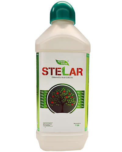 स्टेलर (जिब्रेलीक ऍसिड 0.001%) 1 लीटर