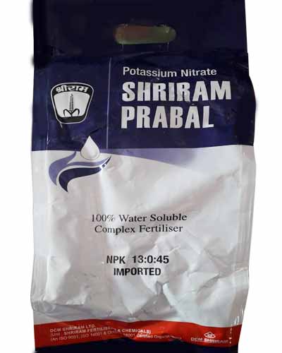 Shriram Prabal (13:00:45) 1 kg