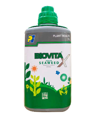 PI Biovita Liquid (Ascophyllum Nodosum) 250 ml