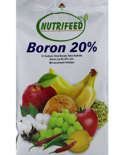 न्यूट्रीफीड बोरॉन 20% (250 ग्रॅम)
