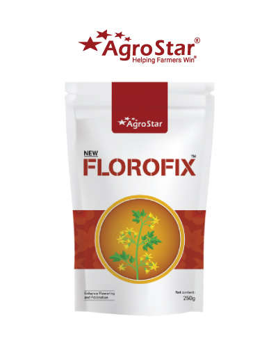 Florofix (Protein Hydrolyasate Powder 80% TC) 250 GM